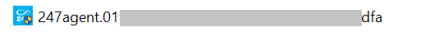 Windows executable file icon labeled "247agent.01" with a shortcut overlay, indicating an installation or configuration file for the 247connect Agent.